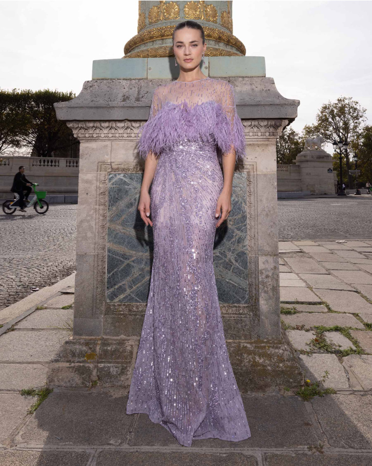 Bri, Discreet Mauve Embellished Gown