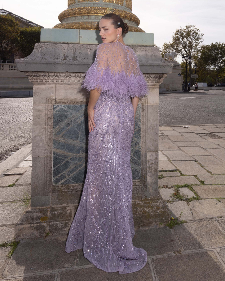 Bri, Discreet Mauve Embellished Gown