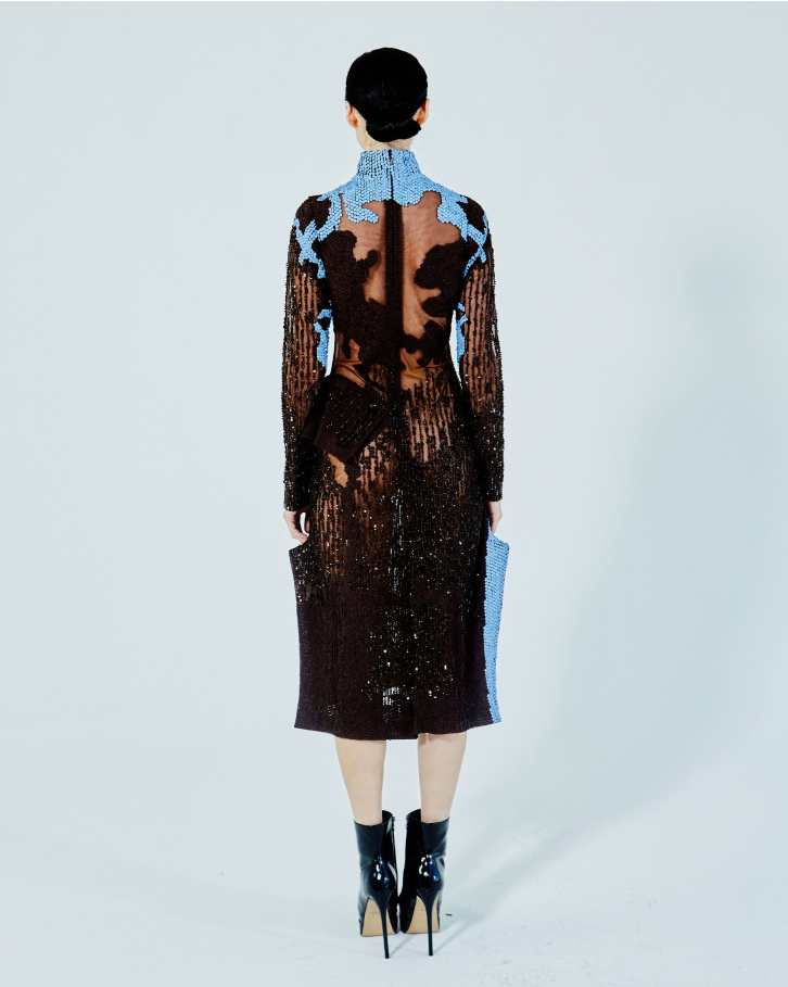 Chestnut brown sheer long dress