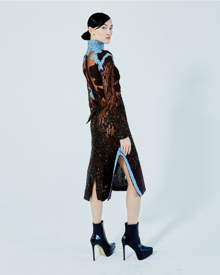 Chestnut brown sheer long dress