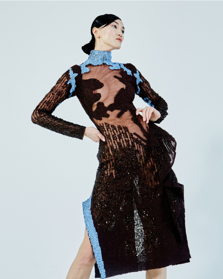 Chestnut brown sheer long dress