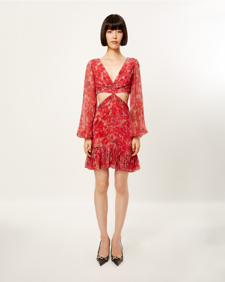 Scarlet Spliced Flora Cut-Out Dress