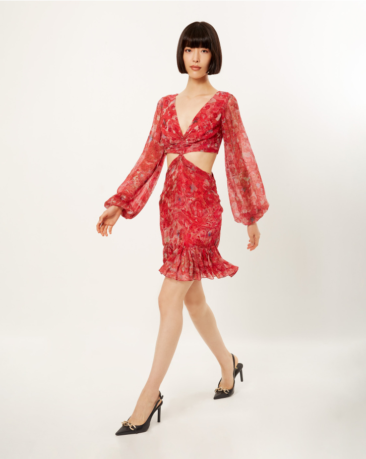Scarlet Spliced Flora Cut-Out Dress