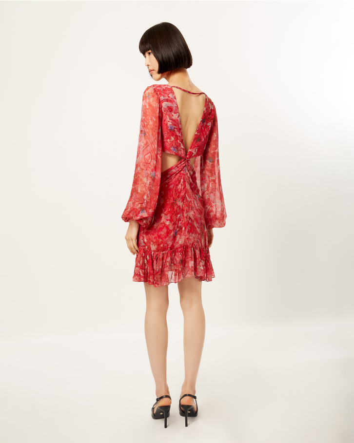 Scarlet Spliced Flora Cut-Out Dress