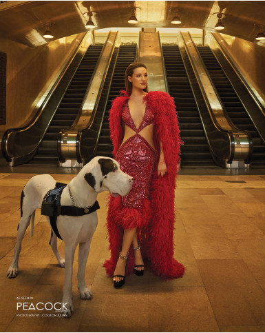 Claret sequinned cut-out dress with feather cape