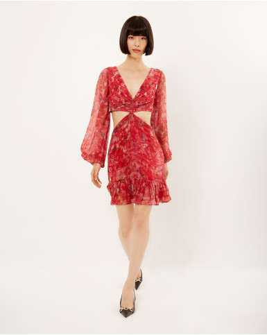 Scarlet Spliced Flora Cut-Out Dress
