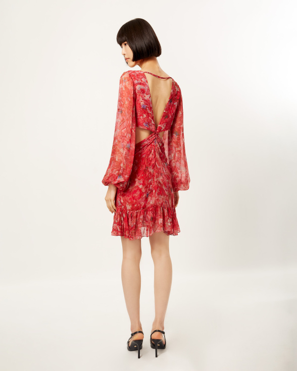 Scarlet Spliced Flora Cut-Out Dress