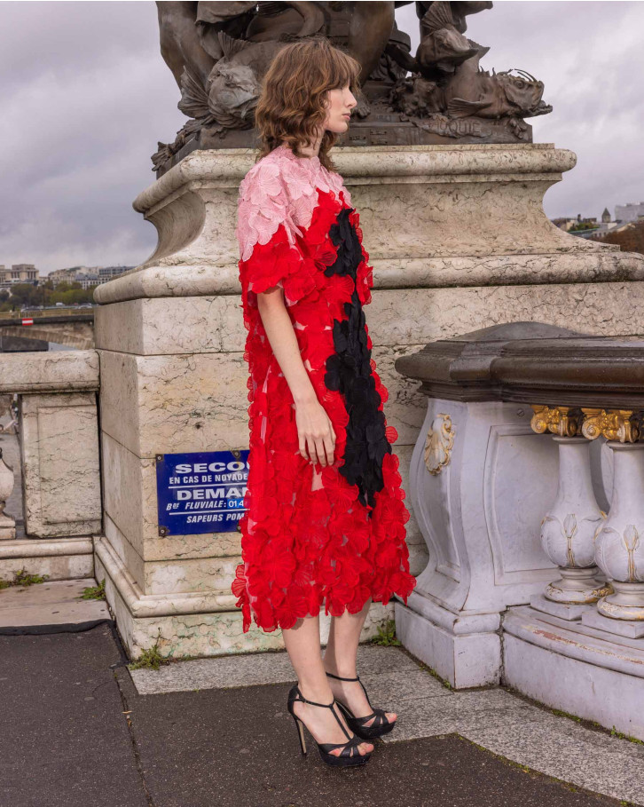 Clover, Red And Pink Midi Dress