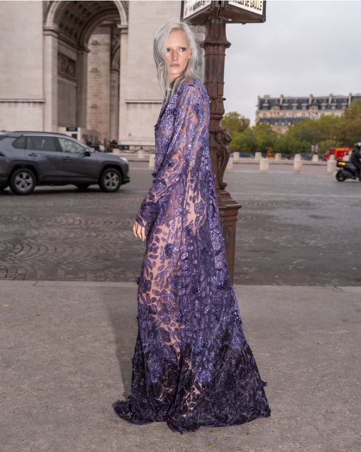 Zahara, Purple Ombre Embroidered Long Dress