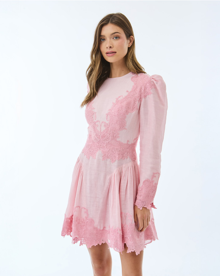 Pink with Pink Embroidery Short Dress